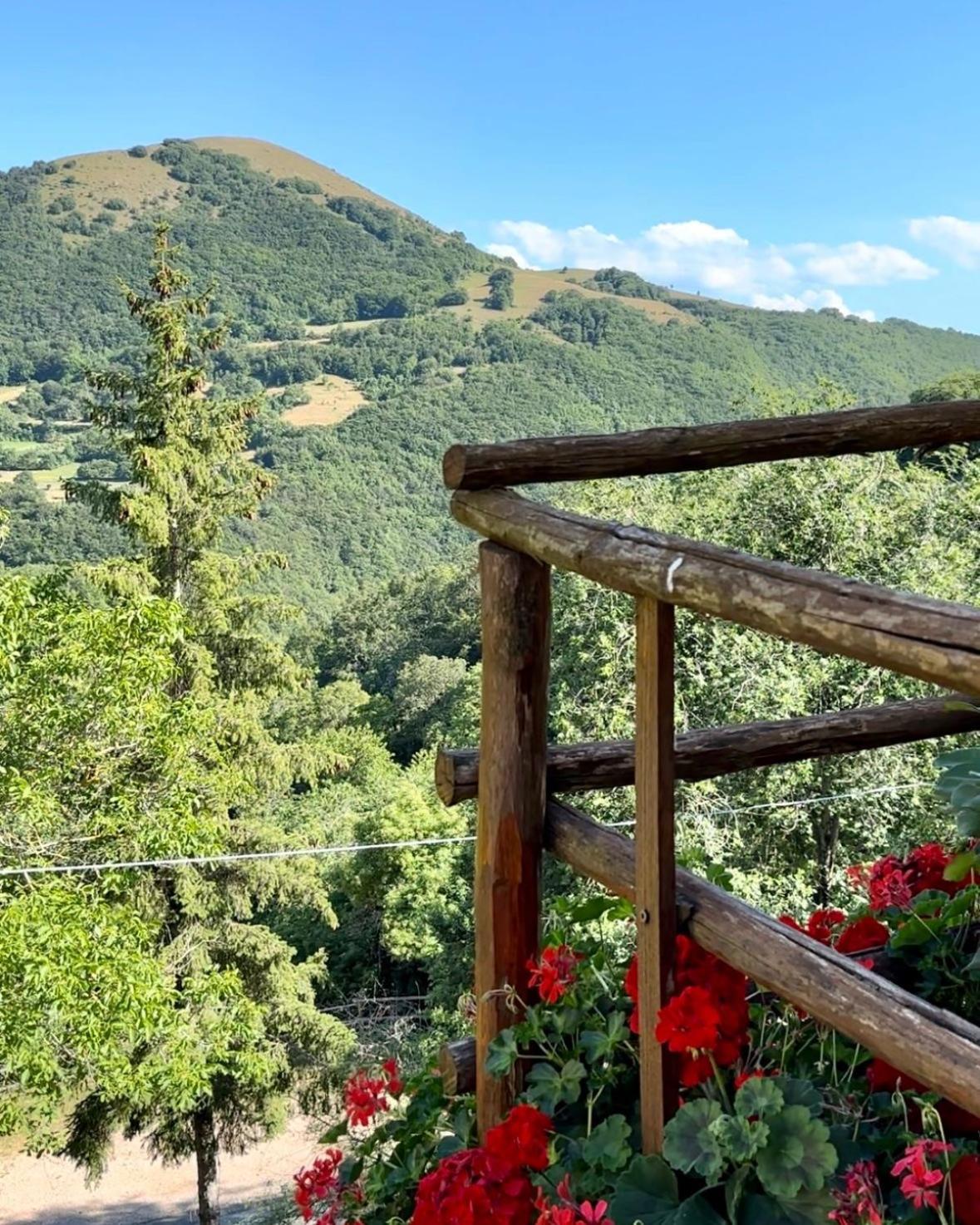 Agriturismo Pettino Campello sul Clitunno Eksteriør bilde