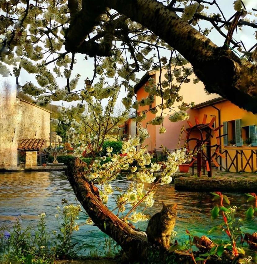 Agriturismo Pettino Campello sul Clitunno Eksteriør bilde