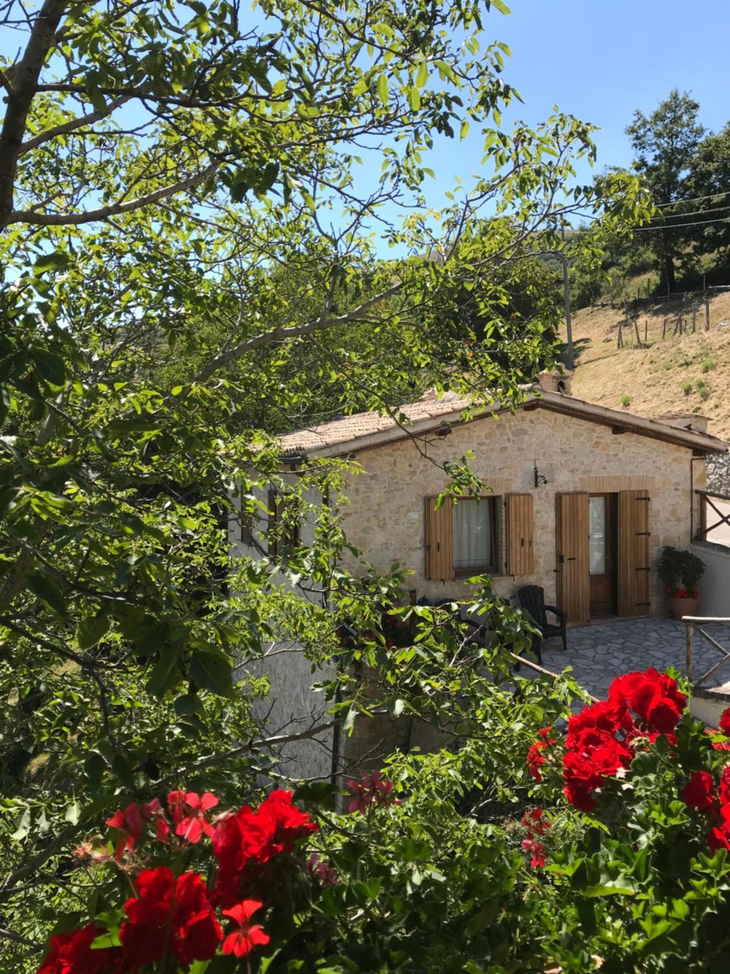 Agriturismo Pettino Campello sul Clitunno Eksteriør bilde