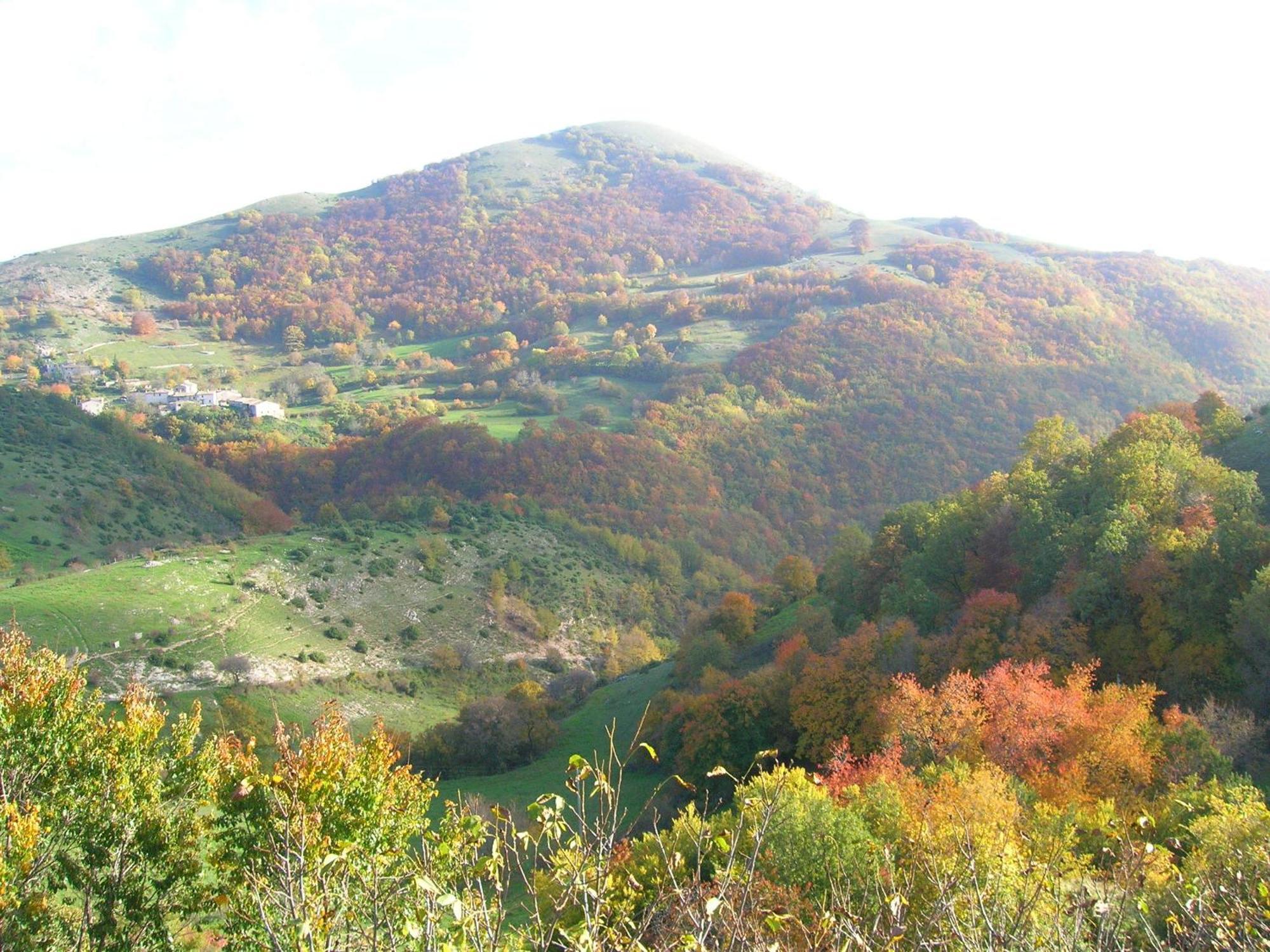 Agriturismo Pettino Campello sul Clitunno Eksteriør bilde